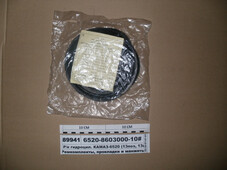 Р/к гідроцил. КАМАЗ-6520 (13поз, 13шт) ГТВ + пласт. (Альт) 6520-8603000-10#