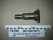 Шестерня корпусу зчеплення МТЗ-1221 (в-во МТЗ) 80-1601071